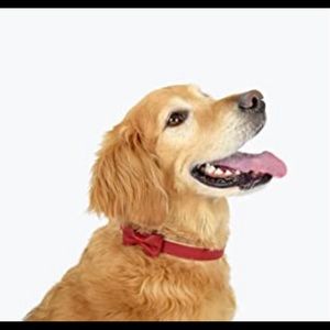 NWT Martha Stewart Leather Collar with Bow tie